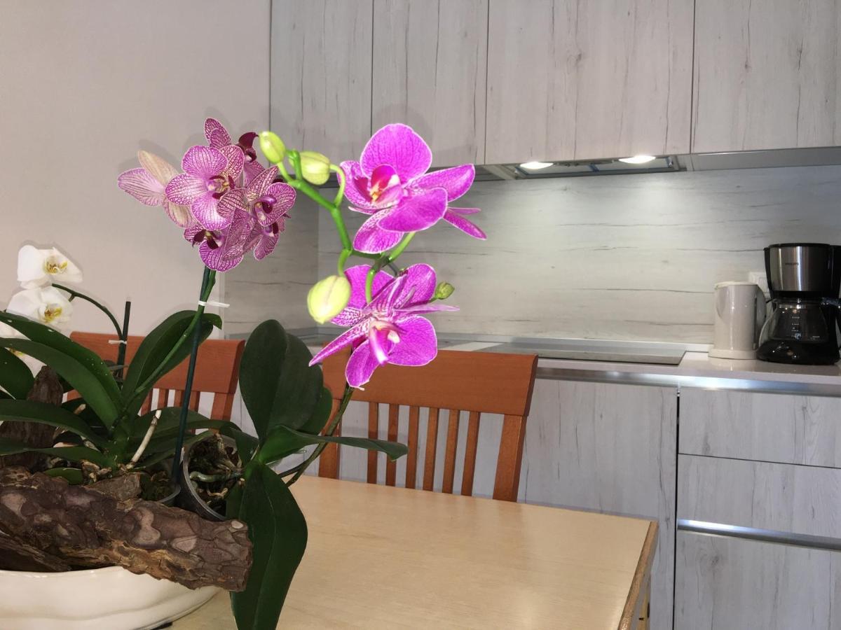 Casa Eva Appartamento Bibione